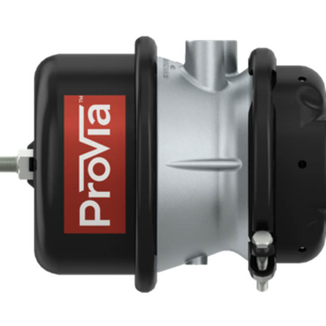 Adampolis 0 Adampolis 0