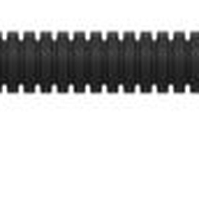 Adampolis 0 Adampolis 0