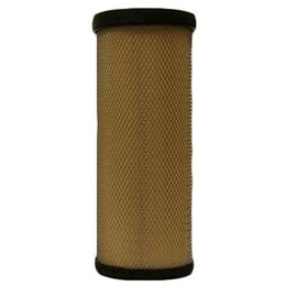 Secondary Air Filter