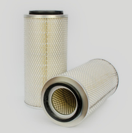 Filtras oro pagrindinis (pirminis) DONALDSON