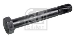 Varžtas M30x210 8.8  FEBI