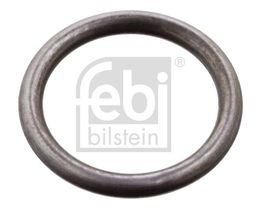 Seal Ring